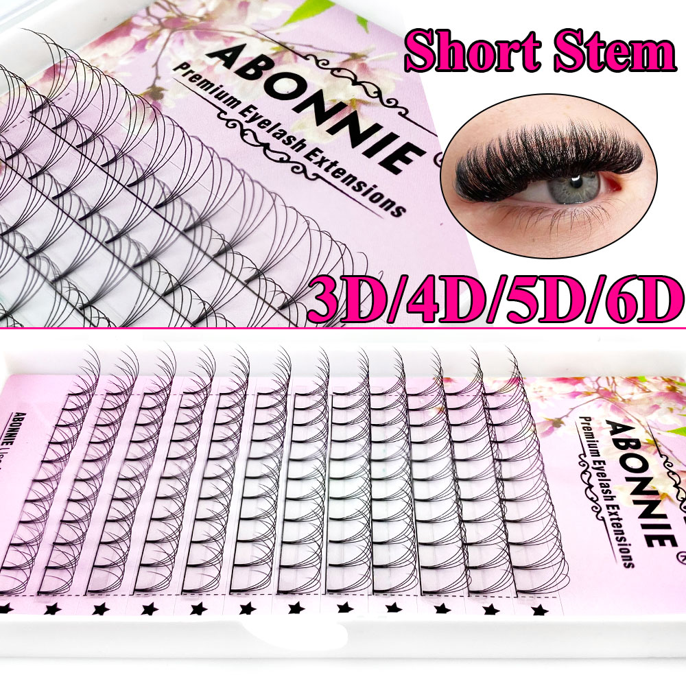 Abonnie 6D Éventails préfabriq - Eyelash Extension Remover At Home avis et prix